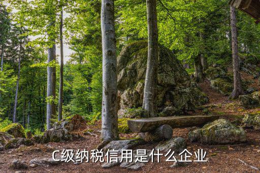 稅務(wù)等級(jí)c級(jí)是什么意思，申請(qǐng)一般納稅人abc類是什么意思