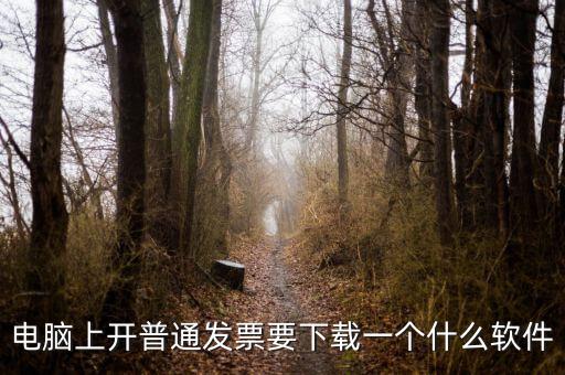 網(wǎng)絡(luò)開票需要下載什么軟件下載，電腦打發(fā)票是不是要下載一個什么軟件