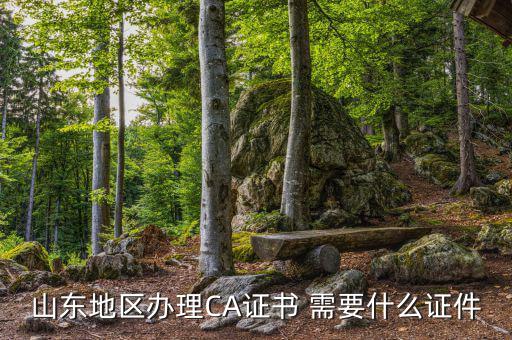 開通ca用什么資料，電子稅務局CA證書申請資料