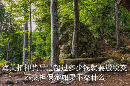 納稅擔(dān)保什么意思，海關(guān)扣押貨品是超過多少錢就要繳稅交不交擔(dān)保金如果不交什么