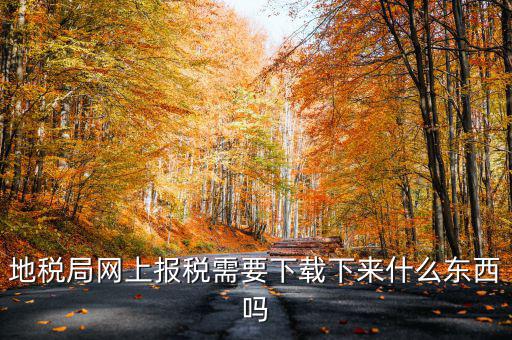 辦地稅都需要什么軟件，地稅網(wǎng)上申報(bào)軟件