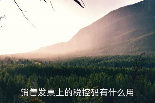 發(fā)票稅控碼是什么，國稅發(fā)票稅控碼