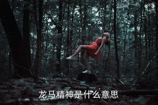 湖北國(guó)稅精神是什么意思，神志不清精神不能集中是什么詞的意思