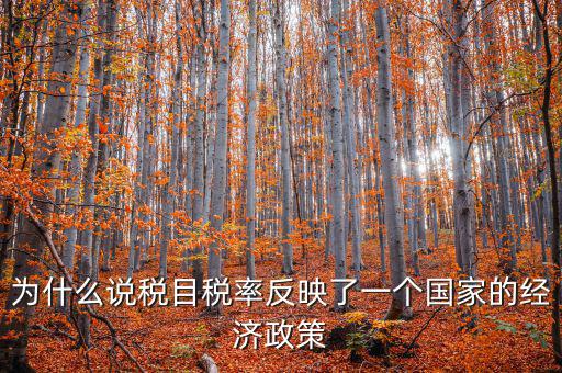 為什么要規(guī)定稅目，稅目是什么意思