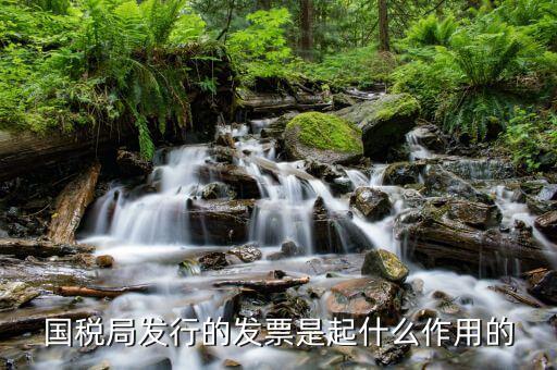 國(guó)家稅務(wù)局發(fā)票有什么用，發(fā)票有哪些作用呢
