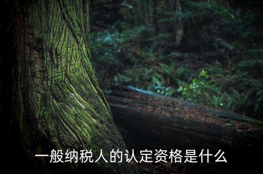 一般納稅人資格證是什么，請問一般納稅人應有什么證