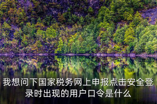 我想問下國家稅務(wù)網(wǎng)上申報(bào)點(diǎn)擊安全登錄時(shí)出現(xiàn)的用戶口令是什么