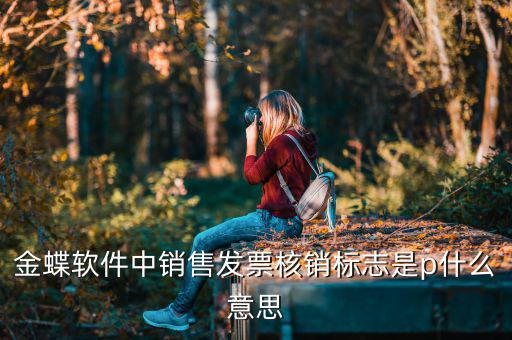 金蝶軟件中銷(xiāo)售發(fā)票核銷(xiāo)標(biāo)志是p什么意思