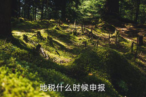 地稅上面基金申報是指什么時候，地稅什么時候申報