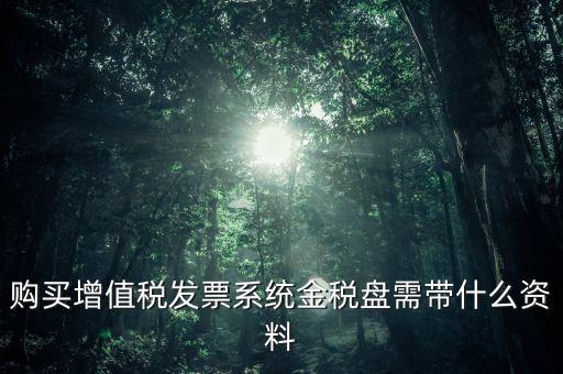 購買金稅盤要什么資料，購買增值稅發(fā)票系統(tǒng)金稅盤需帶什么資料