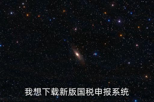 新疆國稅報稅什么系統(tǒng)下載，我想下載新版國稅申報系統(tǒng)