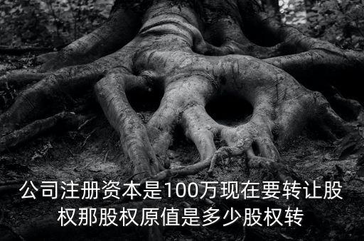 股權(quán)原值是什么意思，公司注冊(cè)資本是100萬現(xiàn)在要轉(zhuǎn)讓股權(quán)那股權(quán)原值是多少股權(quán)轉(zhuǎn)