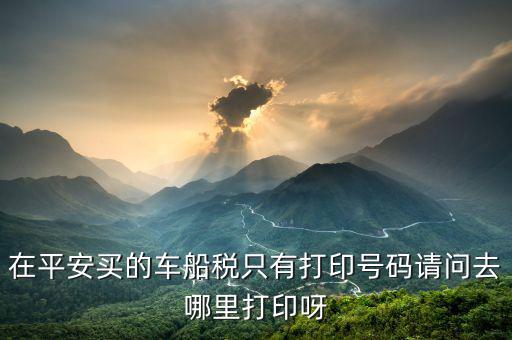 在平安買的車船稅只有打印號(hào)碼請(qǐng)問(wèn)去哪里打印呀