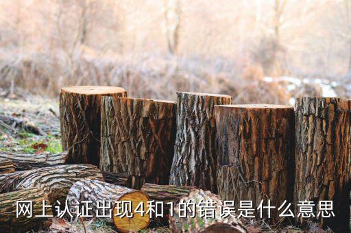 認(rèn)證發(fā)票4是什么問題，認(rèn)證發(fā)票通常會(huì)碰到哪些問題
