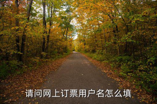 預(yù)約發(fā)票用戶名是什么，開(kāi)票客戶名稱是指