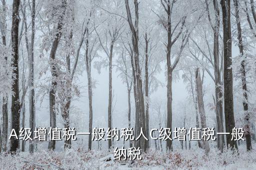 B級(jí)納稅人有什么影響，稅局把公司b級(jí)降到c級(jí)有什么影響嗎