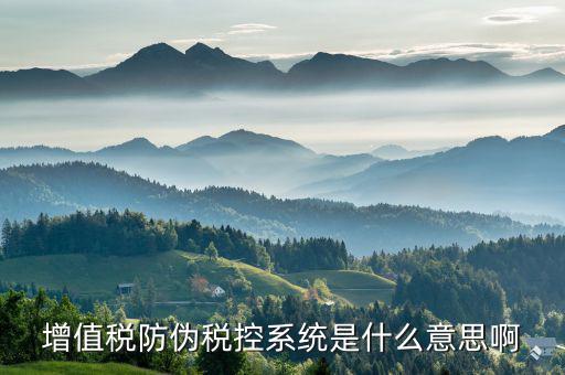 防偽稅控盤是什么，什么是防偽稅控系統(tǒng)金稅請解釋詳細(xì)明白點(diǎn)