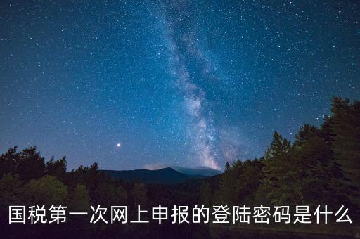 國稅登錄賬號密碼是什么意思，國稅第一次網(wǎng)上申報的登陸密碼是什么