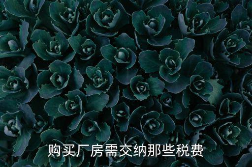個人買廠房交什么稅，請問在重慶購買一手廠房需要交納那些稅費具體稅率是多少注