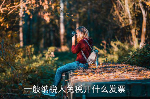 一般納稅人領(lǐng)什么票，一般納稅人免稅開(kāi)什么發(fā)票