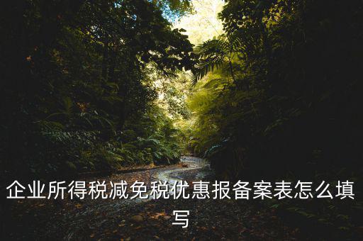 什么是稅收優(yōu)惠備案表，企業(yè)所得稅優(yōu)惠備案表填寫急