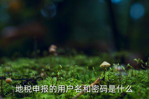 杭州地稅用戶名是什么意思，地稅的用戶名是什么