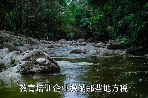 教育培訓(xùn)班要交什么稅，教育培訓(xùn)企業(yè)繳納那些地方稅