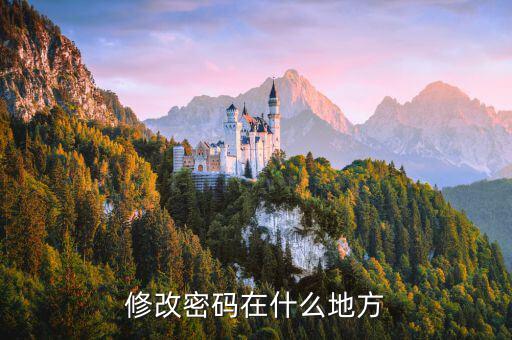 國(guó)稅網(wǎng)站更改密碼在什么地方，修改密碼在什么地方