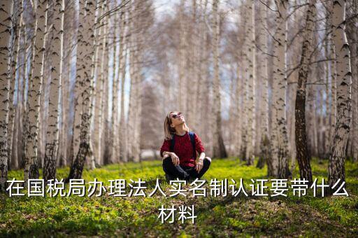 實(shí)名認(rèn)證稅務(wù)需要什么資料，在國(guó)稅局辦理法人實(shí)名制認(rèn)證要帶什么材料