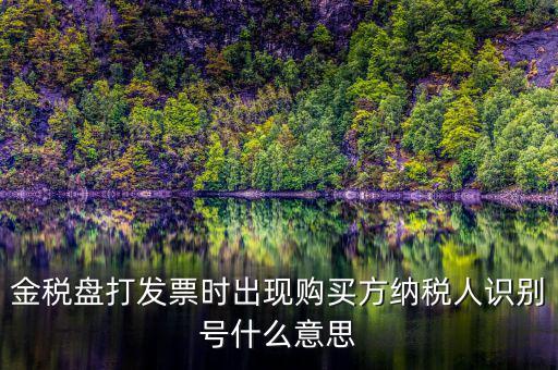 購貨方識(shí)別號(hào)是什么，開票方識(shí)別號(hào)是什么意思