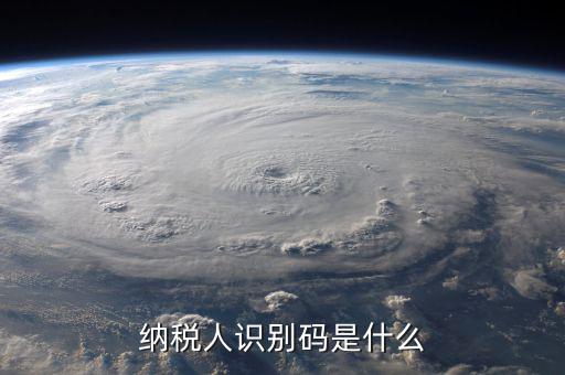 納銳人識(shí)別號(hào)是什么，納稅人識(shí)別碼是什么