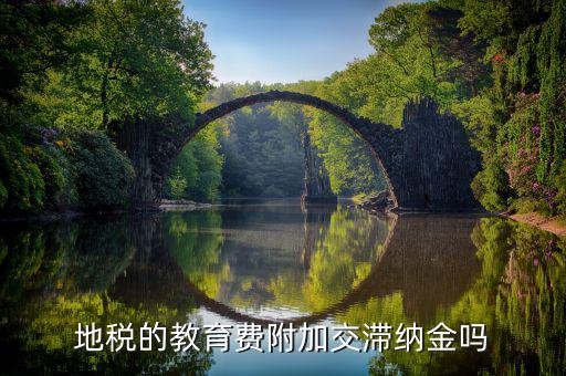 教育費附加為什么不用交滯納金，地稅的教育費附加交滯納金嗎