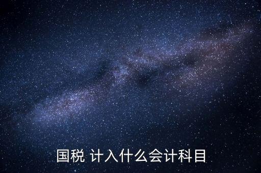 國稅申報記入什么科目，付國稅應(yīng)計入什么科目求解啊