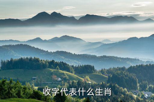 稅字代表什么生肖，十二生肖各代表什么字
