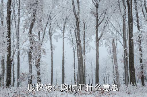 什么是售付匯，股權轉讓購付匯什么意思