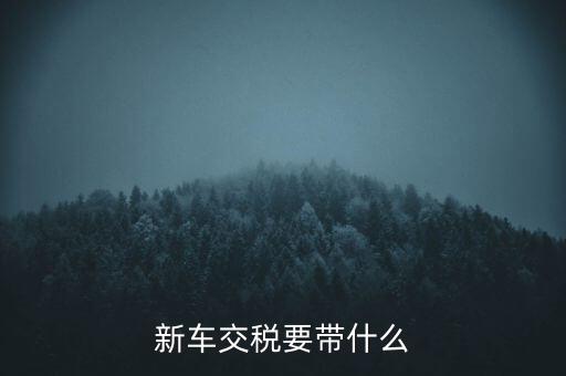 新車(chē)交稅要帶什么