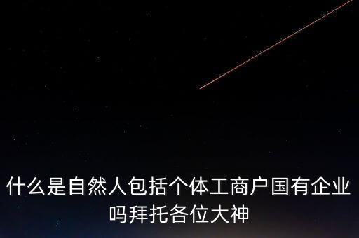 稅務上的自然人指的是什么，申請人為自然人的是什么意思