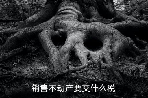 出售不動產(chǎn) 交什么稅，銷售不動產(chǎn)要交什么稅
