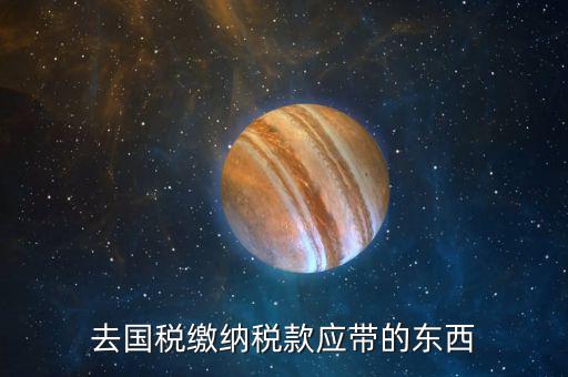 去國稅繳納稅款應帶的東西