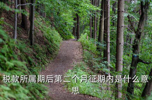11月份征期是什么意思，稅款所屬期后第二個月征期內(nèi)是什么意思