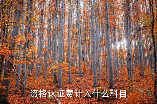 認(rèn)證服務(wù)費(fèi)什么，申請微信公眾賬號認(rèn)證服務(wù)費(fèi)什么意思