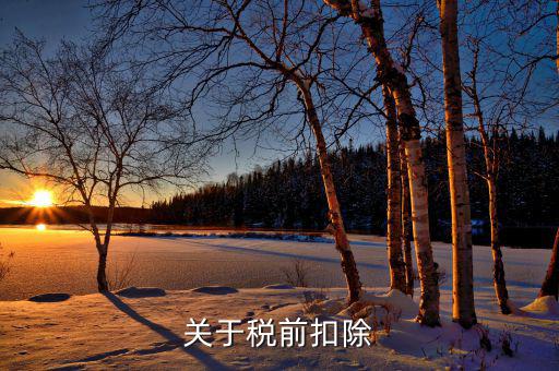稅前扣除什么時候扣除，關(guān)于稅前扣除