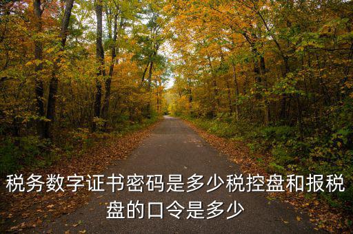 寧波國(guó)稅ca密碼是什么，寧波市電子稅務(wù)局登陸密碼