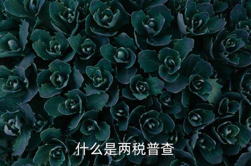 兩稅普查是什么意思，進口兩稅是什么