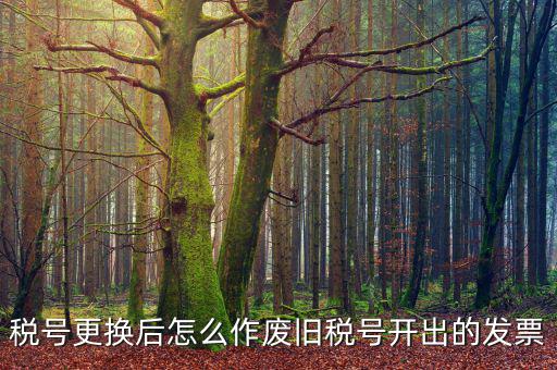 變稅號(hào)需要做什么，稅號(hào)更換后怎么作廢舊稅號(hào)開(kāi)出的發(fā)票