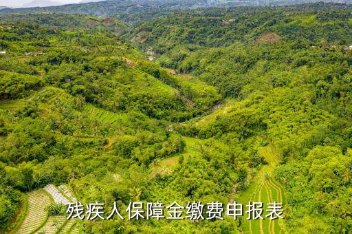 繳納殘疾人保障金 什么是104報(bào)表，什么叫104表