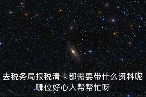 打稅務(wù)清單需要帶什么，我是個(gè)體商戶營業(yè)執(zhí)照掉了想去打印一份稅務(wù)清單需要帶些什么