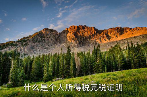 個(gè)人所得稅完稅是什么，招聘時(shí)說(shuō)的稅后這個(gè)稅是指的什么