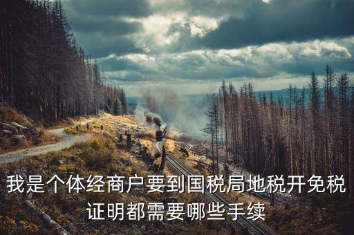 我是個(gè)體經(jīng)商戶(hù)要到國(guó)稅局地稅開(kāi)免稅證明都需要哪些手續(xù)