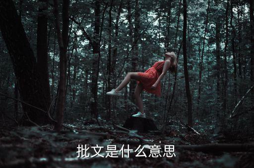 稅收個案批復(fù)是什么意思，批文是什么意思
